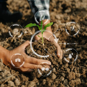 Sustainable Agriculture